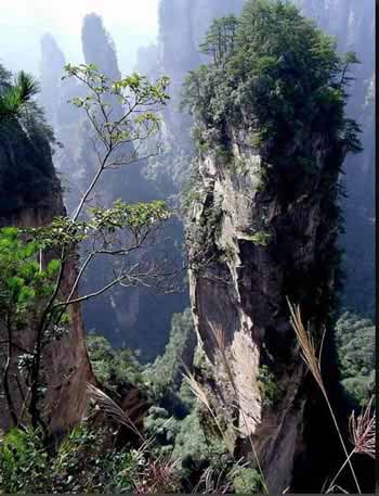長沙出發(fā)到張家界溶洞奇觀黃龍洞、國家森林公園、袁家界、峰林之王天子山三日游（早班）