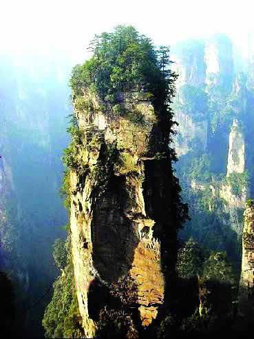 張家界國(guó)家地質(zhì)森林公園、黃石寨、金鞭溪休閑一日游