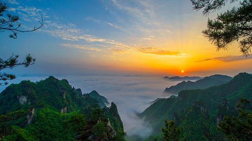 張家界森林公園（金鞭溪、袁家界、楊家界、天子山、十里畫廊）住山上2天1游（可看日出）